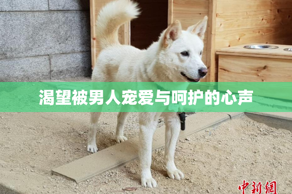 渴望被男人宠爱与呵护的心声