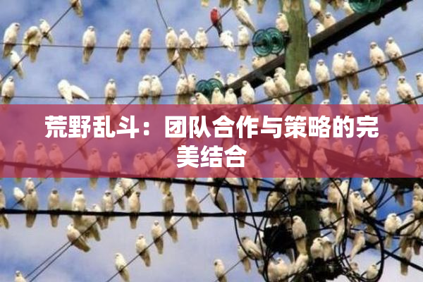 荒野乱斗：团队合作与策略的完美结合