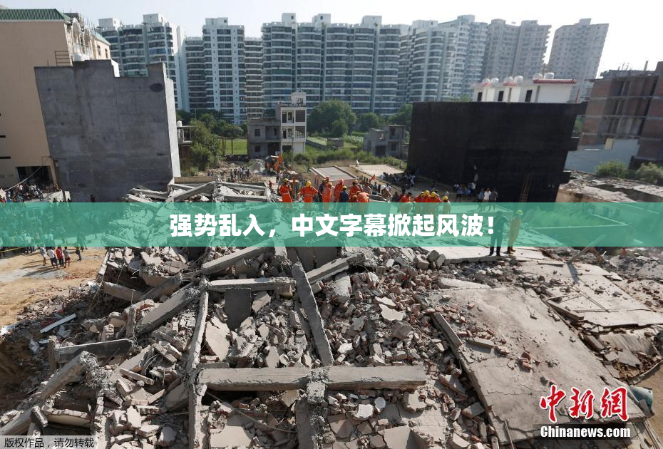 强势乱入，中文字幕掀起风波！