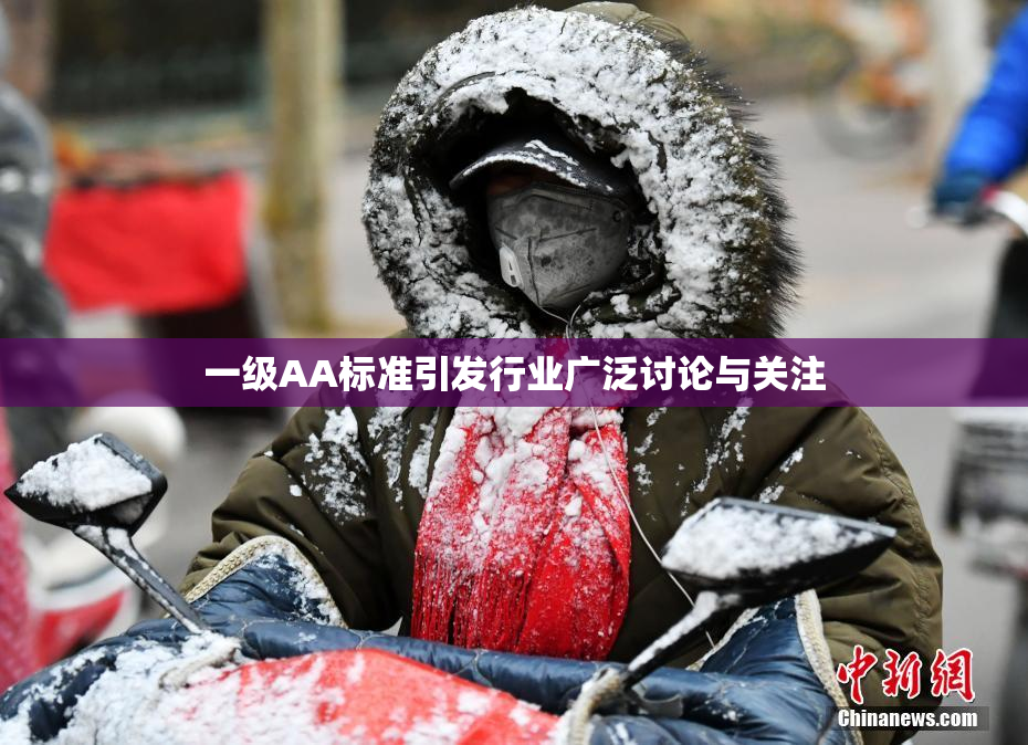 一级AA标准引发行业广泛讨论与关注