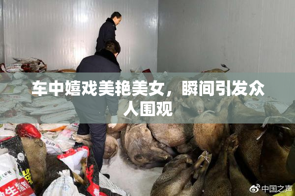 车中嬉戏美艳美女，瞬间引发众人围观