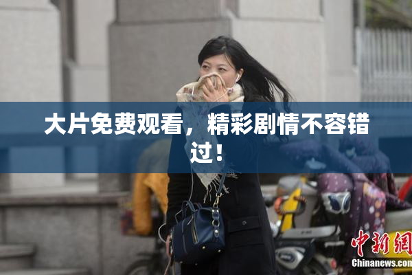大片免费观看，精彩剧情不容错过！