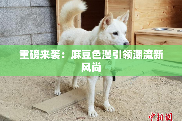 重磅来袭：麻豆色漫引领潮流新风尚