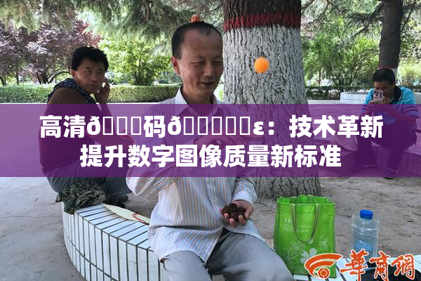 高清🈚码🔞❌‌ε：技术革新提升数字图像质量新标准