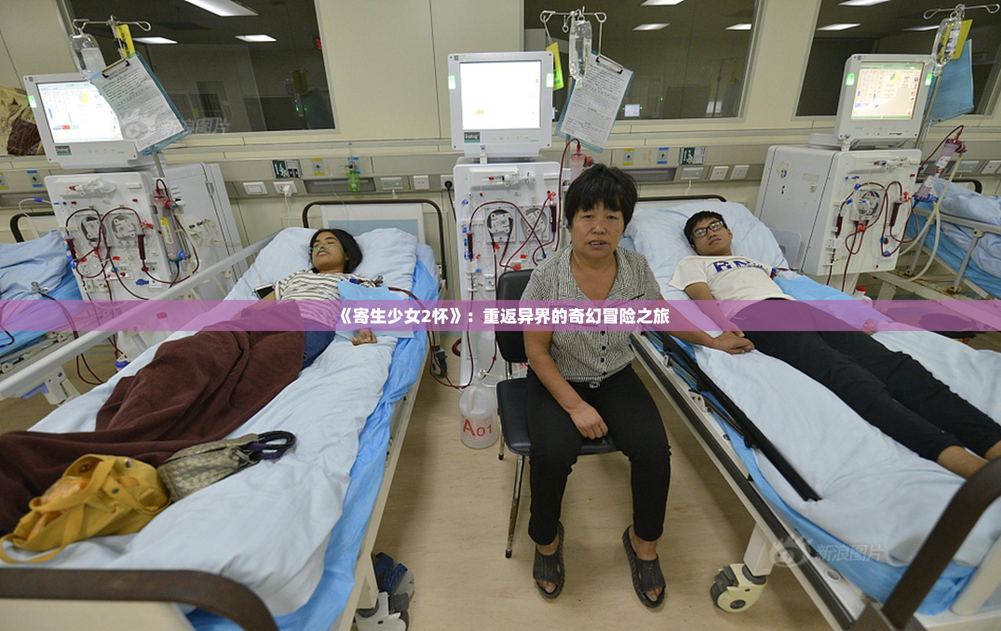 《寄生少女2怀》：重返异界的奇幻冒险之旅