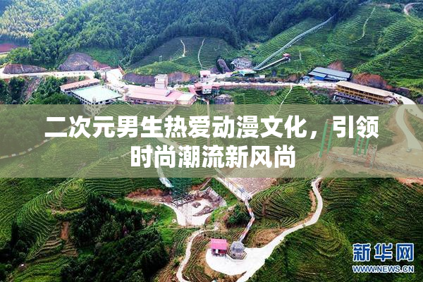 二次元男生热爱动漫文化，引领时尚潮流新风尚
