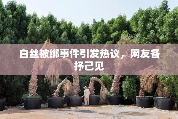 白丝被绑事件引发热议，网友各抒己见