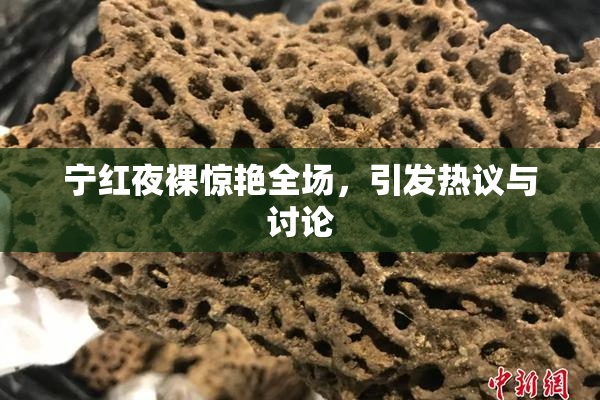 宁红夜裸惊艳全场，引发热议与讨论
