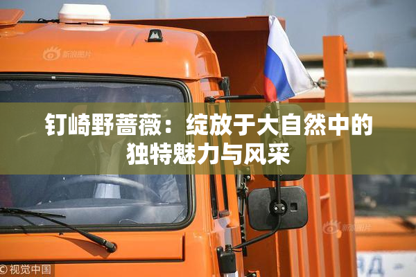 钉崎野蔷薇：绽放于大自然中的独特魅力与风采