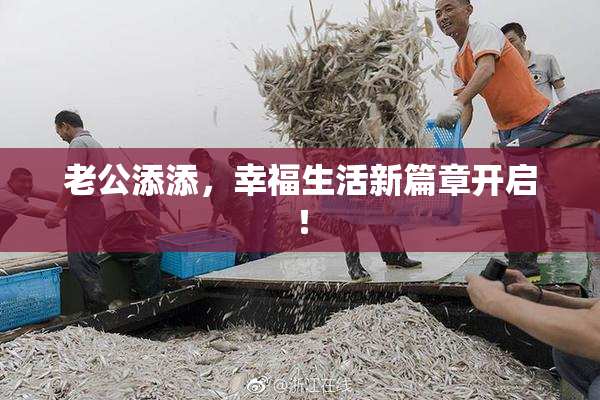 老公添添，幸福生活新篇章开启！