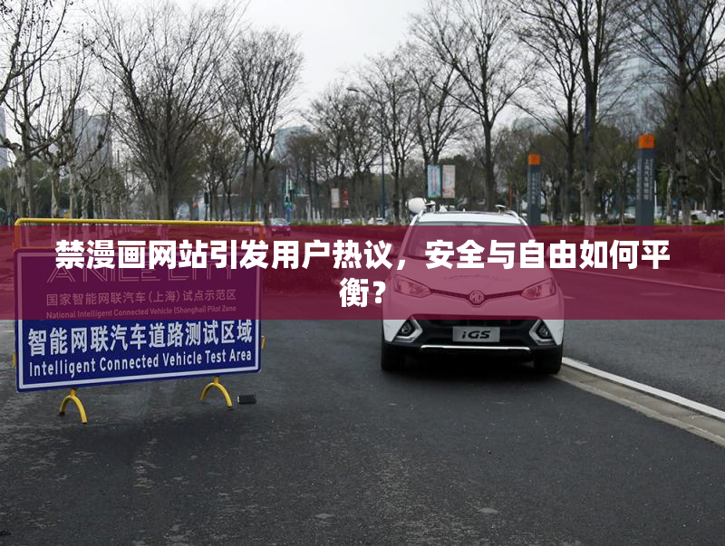 禁漫画网站引发用户热议，安全与自由如何平衡？