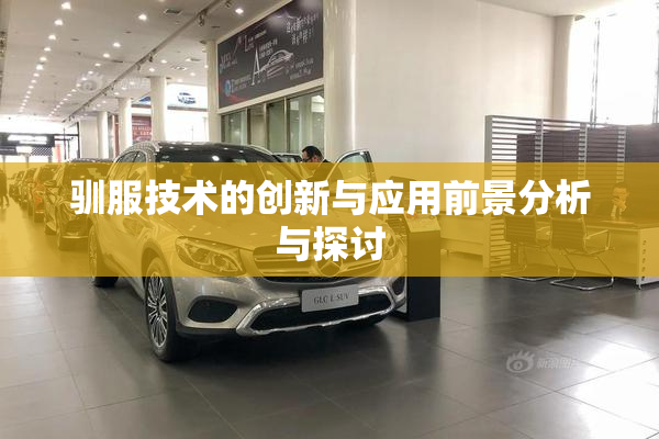 驯服技术的创新与应用前景分析与探讨