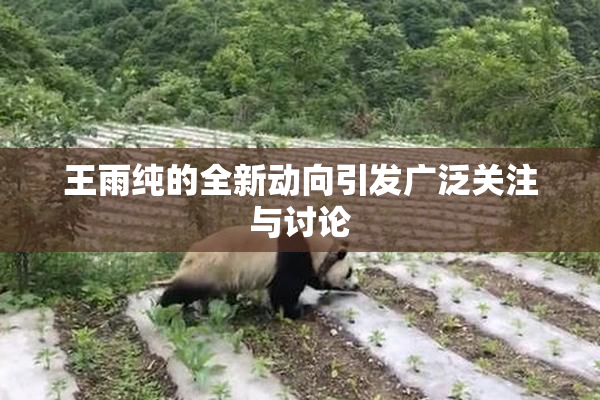 王雨纯的全新动向引发广泛关注与讨论