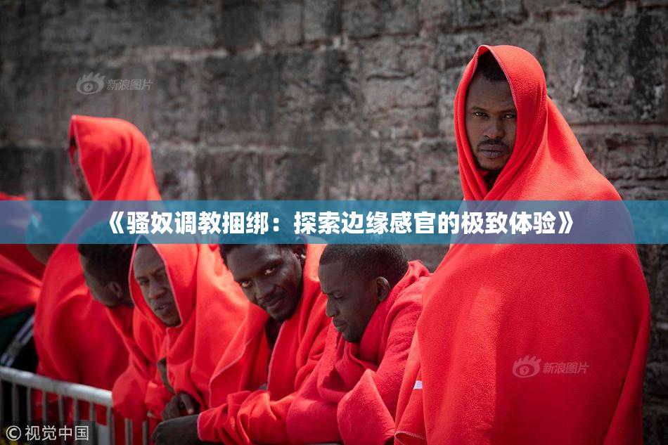 《骚奴调教捆绑：探索边缘感官的极致体验》