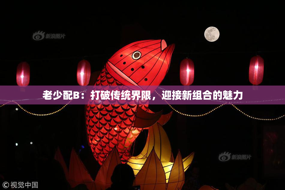 老少配B：打破传统界限，迎接新组合的魅力