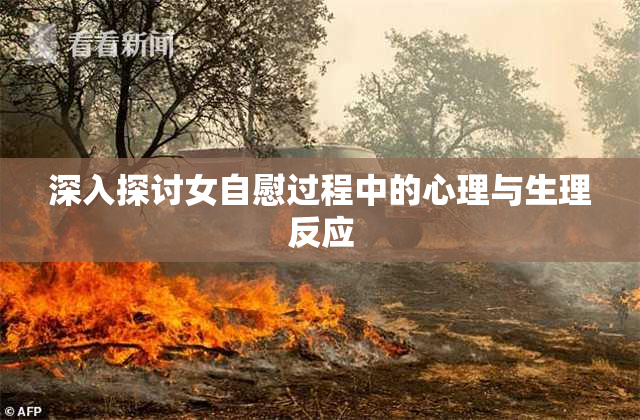 深入探讨女自慰过程中的心理与生理反应