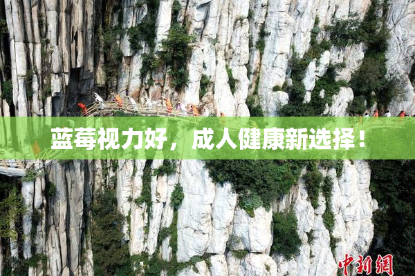蓝莓视力好，成人健康新选择！