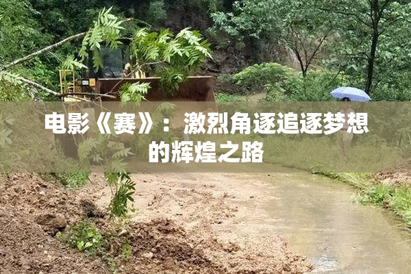 电影《赛》：激烈角逐追逐梦想的辉煌之路