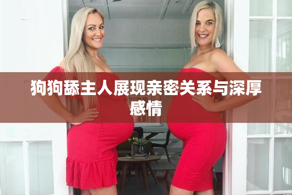 狗狗舔主人展现亲密关系与深厚感情