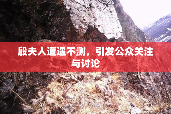 殷夫人遭遇不测，引发公众关注与讨论