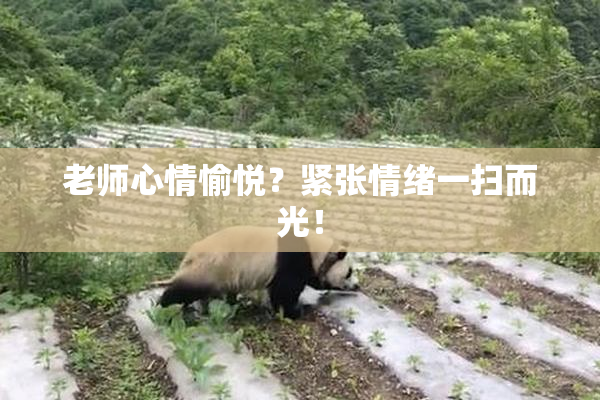 老师心情愉悦？紧张情绪一扫而光！