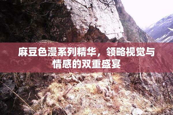 麻豆色漫系列精华，领略视觉与情感的双重盛宴