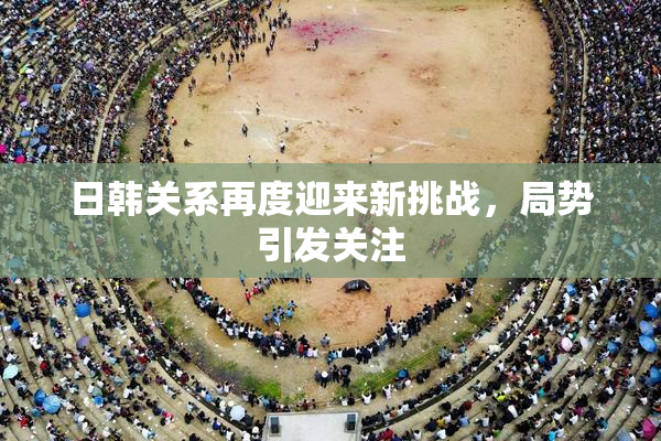 日韩关系再度迎来新挑战，局势引发关注
