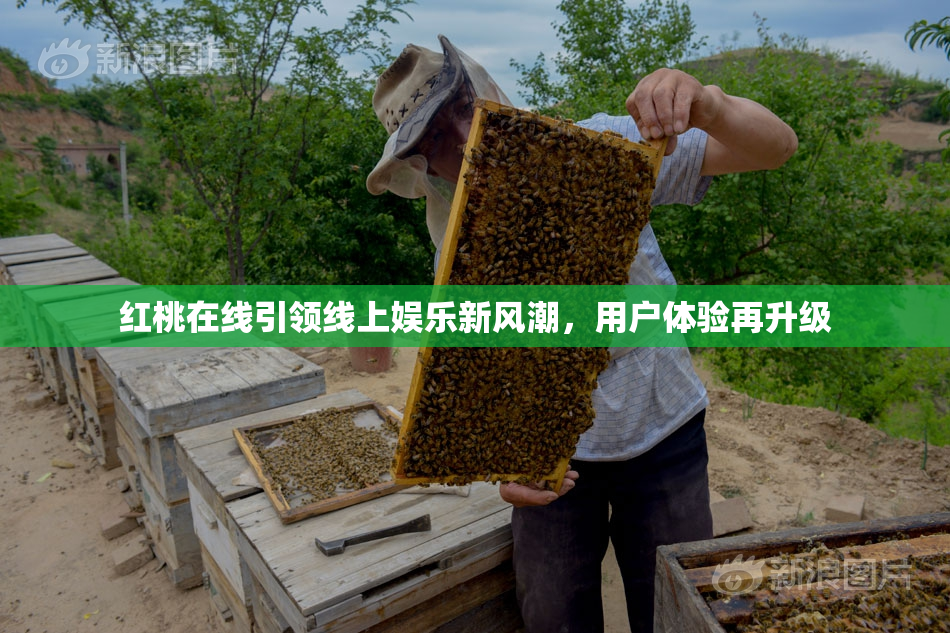 红桃在线引领线上娱乐新风潮，用户体验再升级