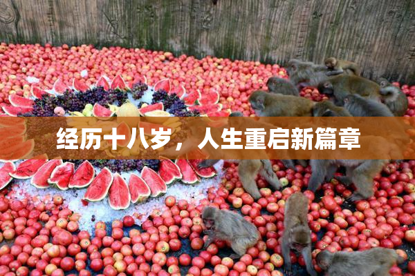 经历十八岁，人生重启新篇章