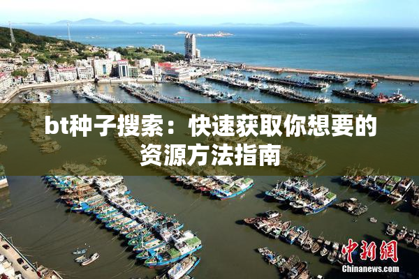 bt种子搜索：快速获取你想要的资源方法指南