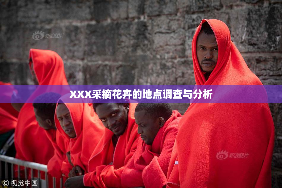 XXX采摘花卉的地点调查与分析