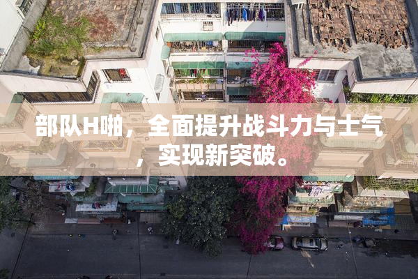 部队H啪，全面提升战斗力与士气，实现新突破。