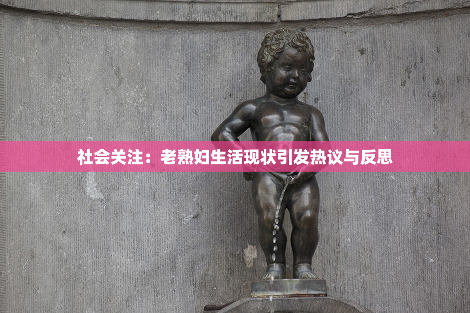 社会关注：老熟妇生活现状引发热议与反思