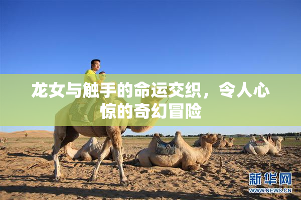 龙女与触手的命运交织，令人心惊的奇幻冒险