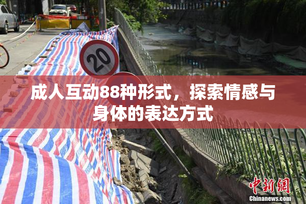 成人互动88种形式，探索情感与身体的表达方式