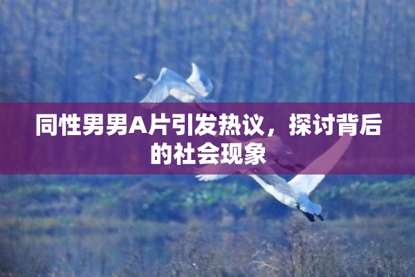 同性男男A片引发热议，探讨背后的社会现象