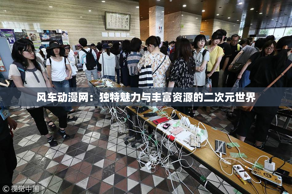 风车动漫网：独特魅力与丰富资源的二次元世界