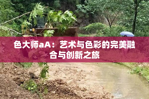 色大师aA：艺术与色彩的完美融合与创新之旅