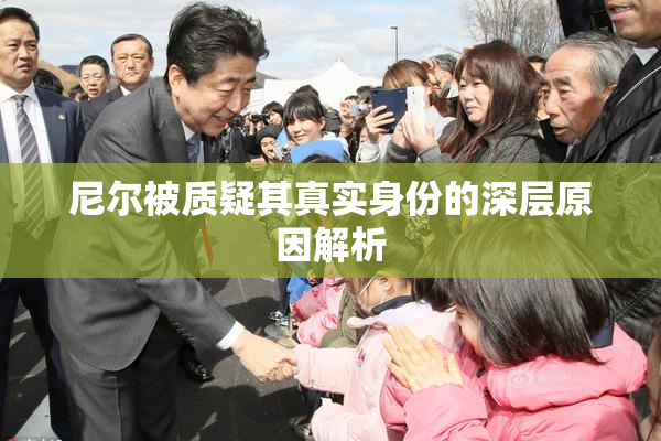 尼尔被质疑其真实身份的深层原因解析