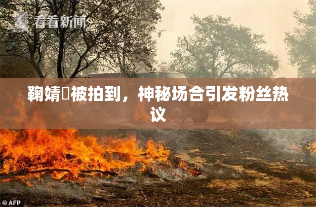 鞠婧祎被拍到，神秘场合引发粉丝热议