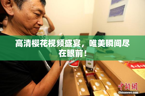 高清樱花视频盛宴，唯美瞬间尽在眼前！