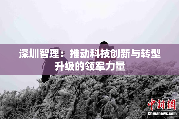 深圳智理：推动科技创新与转型升级的领军力量