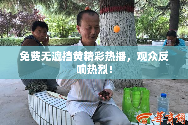 免费无遮挡黄精彩热播，观众反响热烈！