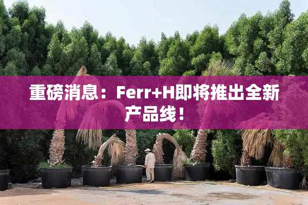 重磅消息：Ferr+H即将推出全新产品线！