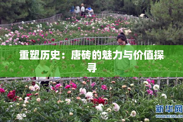重塑历史：唐砖的魅力与价值探寻