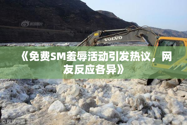 《免费SM羞辱活动引发热议，网友反应各异》