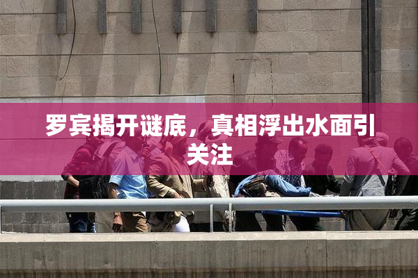 罗宾揭开谜底，真相浮出水面引关注