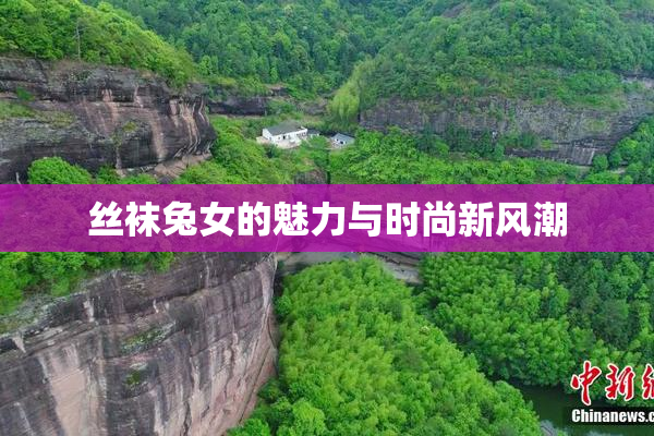 丝袜兔女的魅力与时尚新风潮