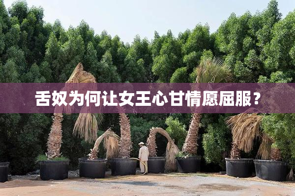舌奴为何让女王心甘情愿屈服？