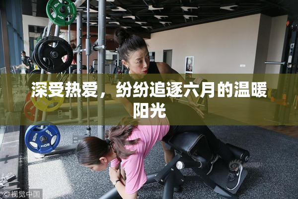 深受热爱，纷纷追逐六月的温暖阳光